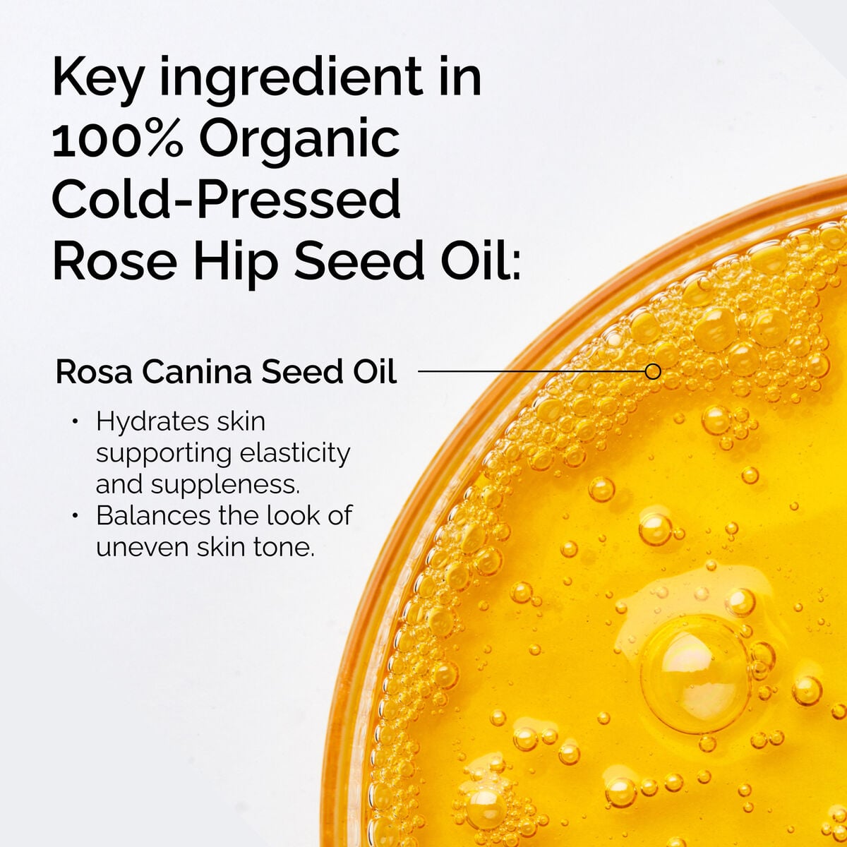 100-organic-cold-pressed-rose-hip-seed-oil-u6 FY25-D41247-ORD-Web-PDP-100-Rose-Hip-Oil-1x1-EN-2.jpg