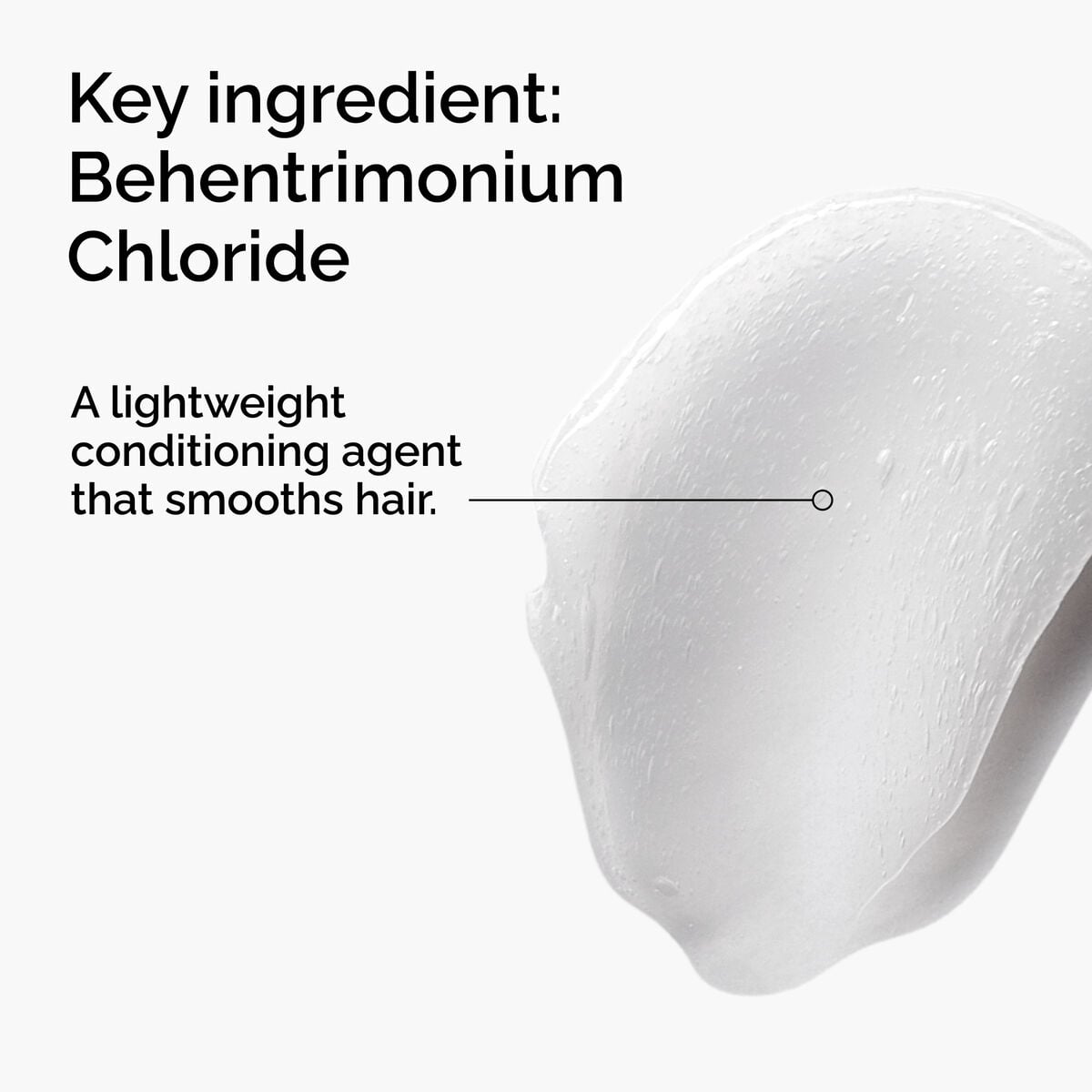 behentrimonium-chloride-2-conditioner-z8 FY25-D41247-ORD-Web-PDP-BTC-1x1-EN-2a.jpg