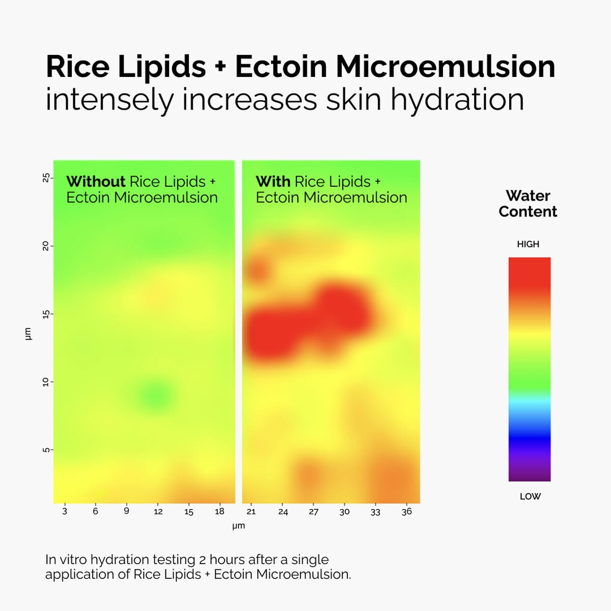 rice-lipids-ectoin-microemulsion-r2 ord-rice-lipids-ectoin-microemulsion-thermal-before-after.jpg